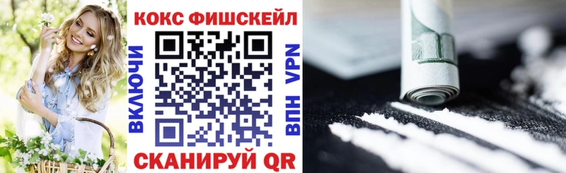 КОКАИН FishScale  shop клад  Губкин 