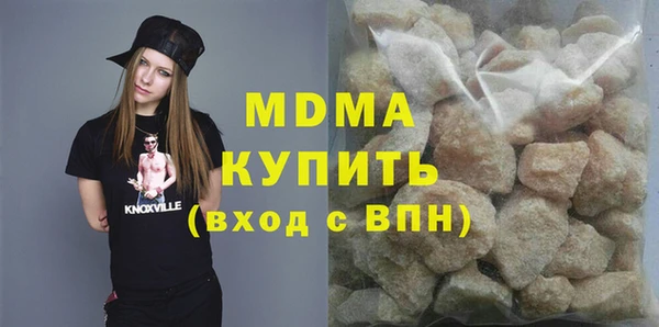 индика Бородино