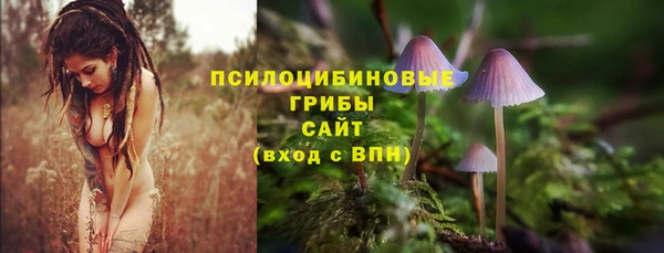 MDMA Premium VHQ Бронницы