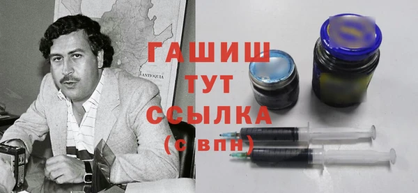 индика Бородино