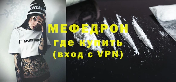 индика Бородино