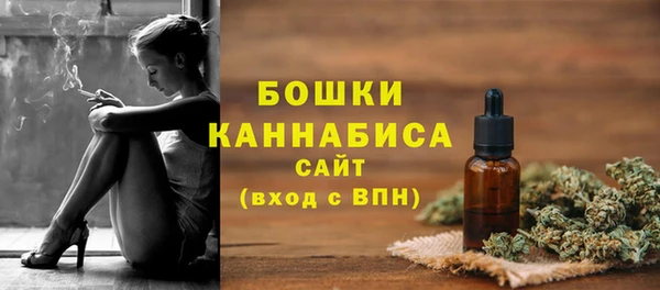 spice Бугульма