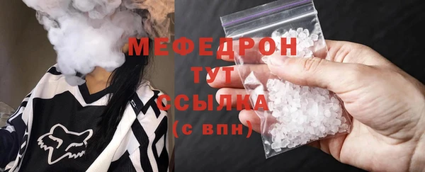 индика Бородино