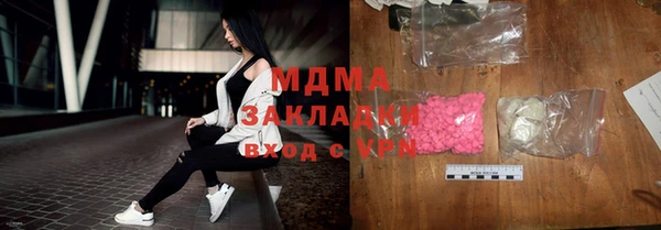 индика Бородино