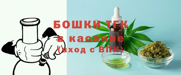 индика Бородино