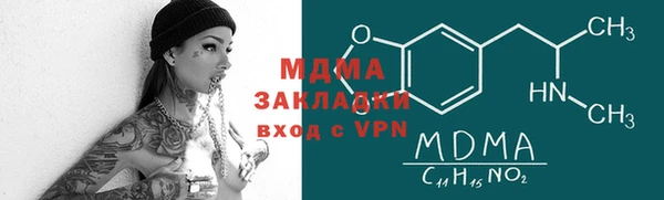индика Бородино