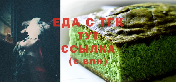 индика Бородино
