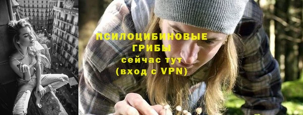 индика Бородино