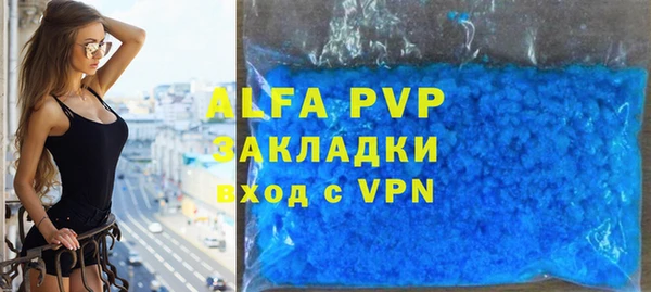 индика Бородино