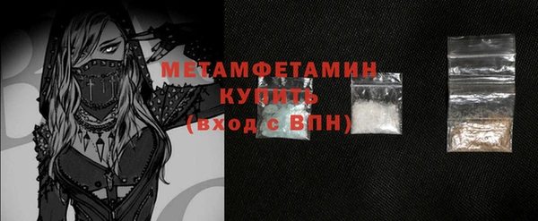 индика Бородино