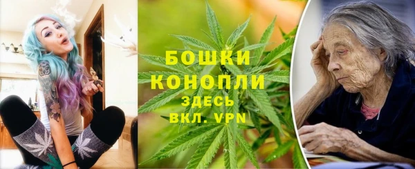 индика Бородино