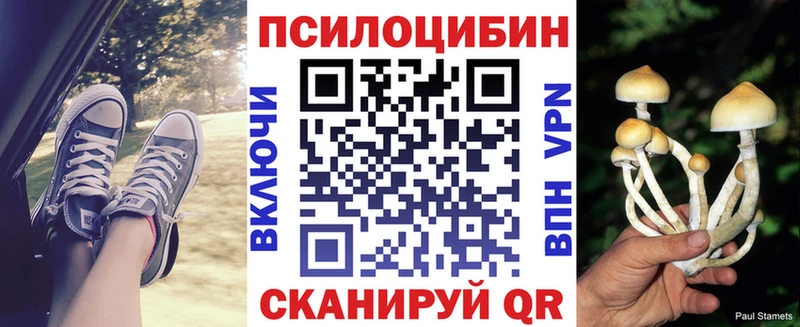 Псилоцибиновые грибы GOLDEN TEACHER  цены   Губкин 